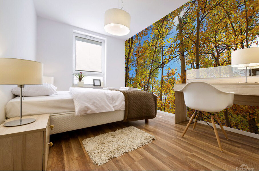 Aspens Mural print