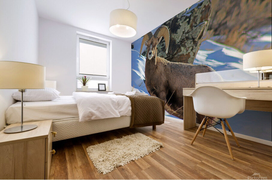 Stare Down Mural print