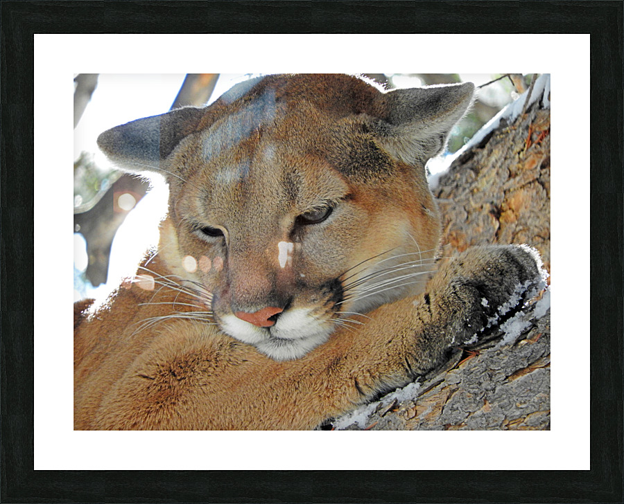 Dont Look Down Picture Frame print