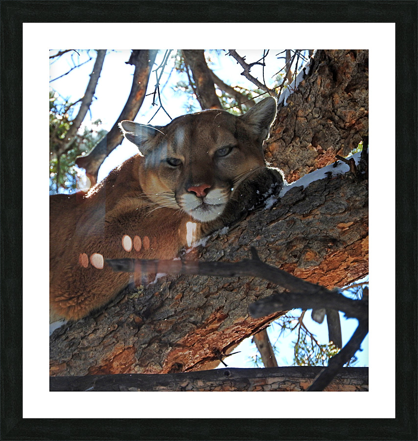 In Limbo Picture Frame print