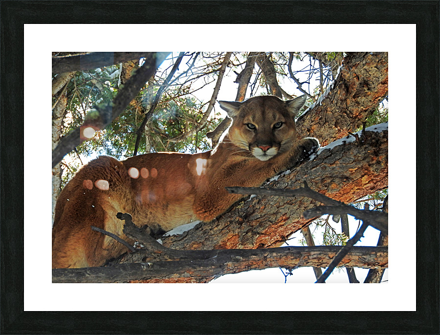 Your Turn Picture Frame print