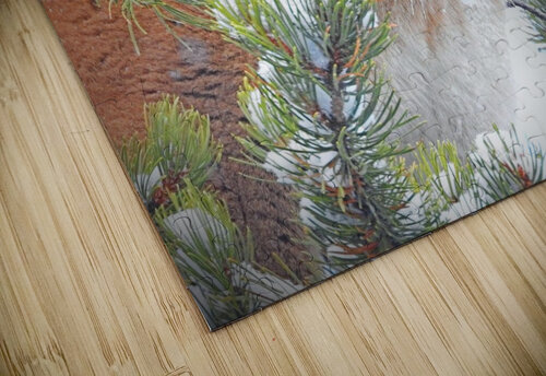 Peeping Tom Love and Lion Tree puzzle