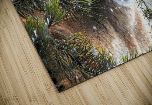 Ok Snowflakes Love and Lion Tree puzzle