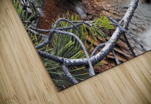 New Profile Pic Love and Lion Tree puzzle