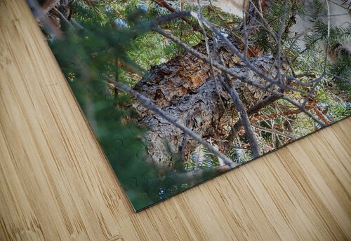 Bottoms Up Love and Lion Tree puzzle