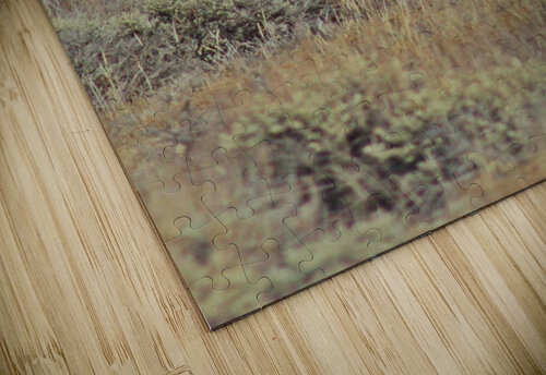 Big Horns Love and Lion Tree puzzle