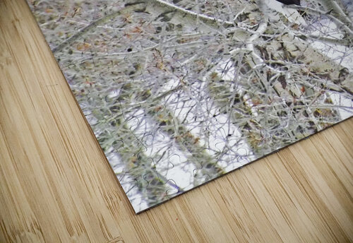 Last Leaves Love and Lion Tree puzzle