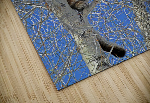 Safe Place Love and Lion Tree puzzle