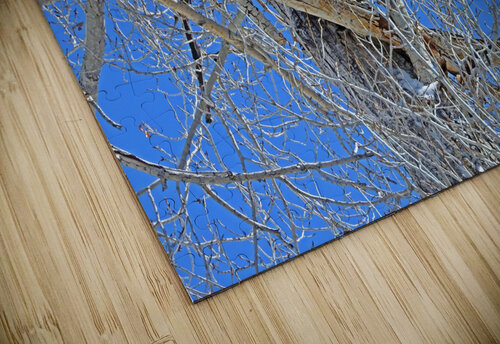Blue Bird Day Love and Lion Tree puzzle