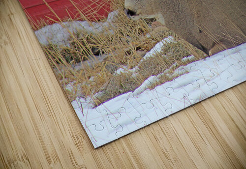 Shut Eye Love and Lion Tree puzzle