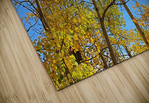 Aspens Take 2 Love and Lion Tree puzzle