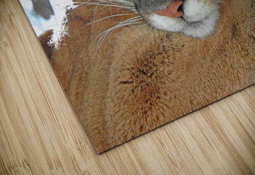 Dont Look Down Love and Lion Tree puzzle