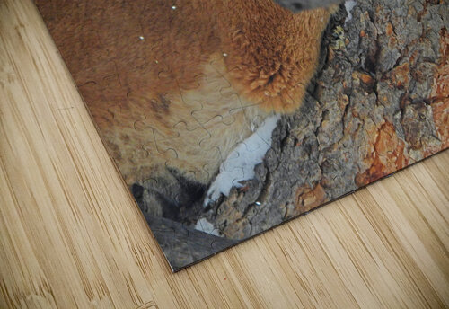 Branch Manager Love and Lion Tree puzzle