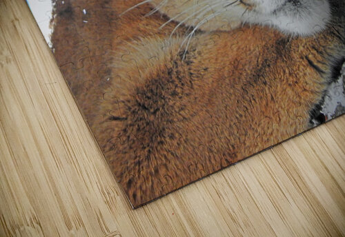 Purrfect Love and Lion Tree puzzle