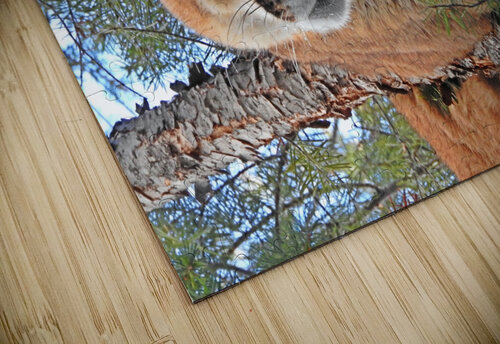 Seven Love and Lion Tree puzzle