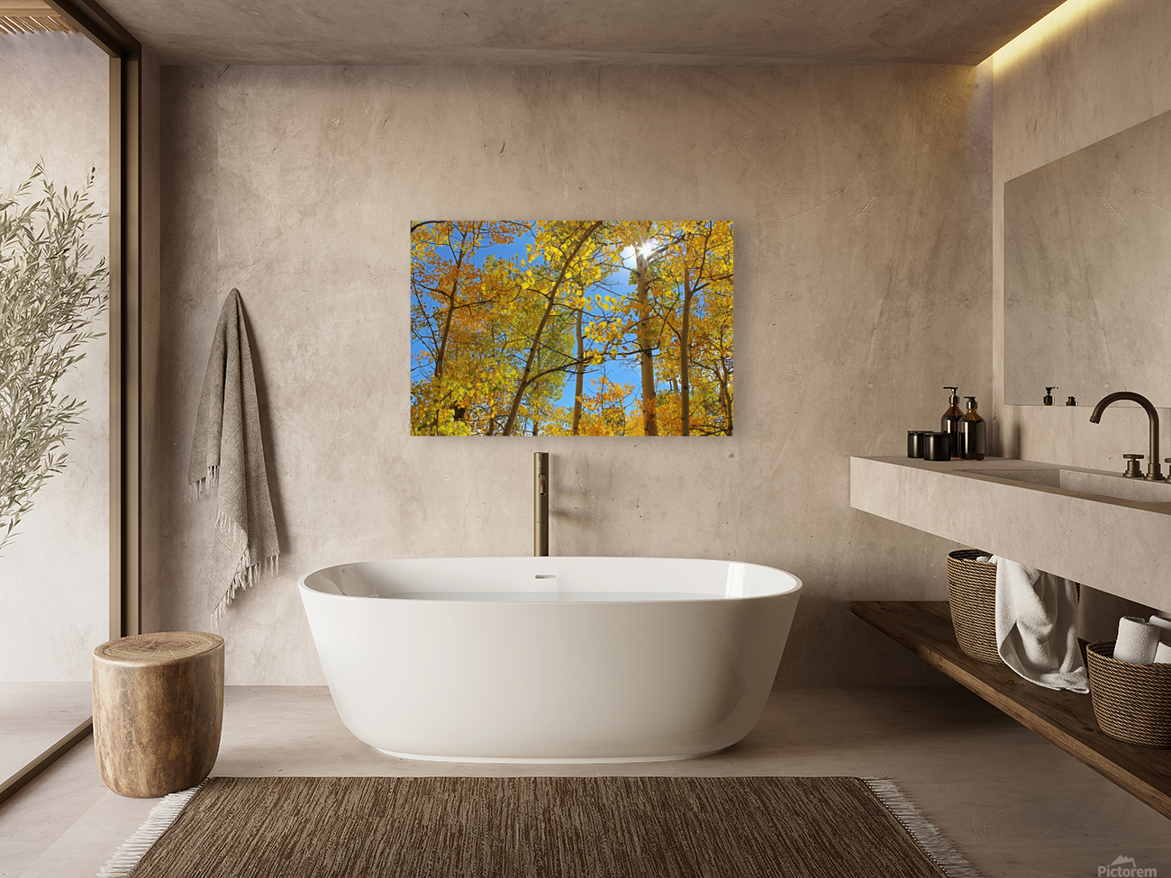 Aspens Take 2 Reproduction