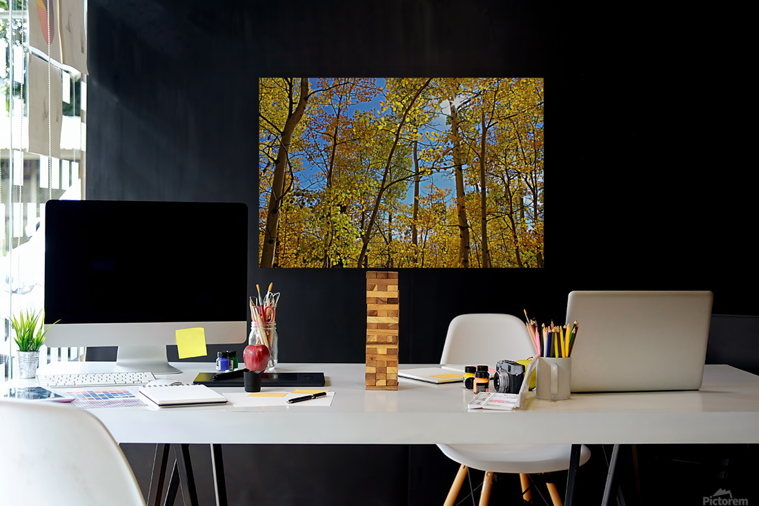 Aspens Reproduction