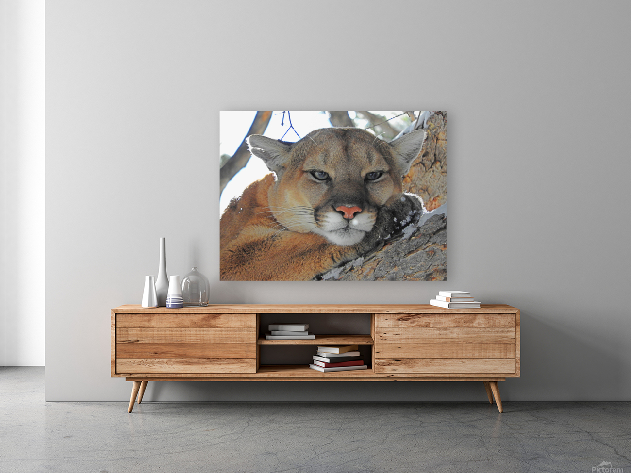 Purrfect Reproduction