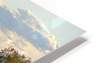 Home HD Metal print