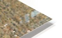 Big Horns HD Metal print