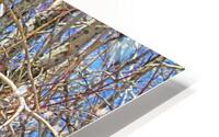 Creepin HD Metal print