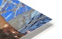 Come at Me Bro HD Metal print