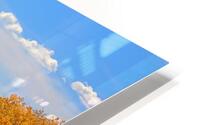I like Gold HD Metal print