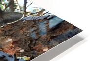 In Limbo HD Metal print