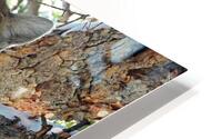Branch Manager HD Metal print
