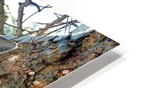 Nap Time HD Metal print