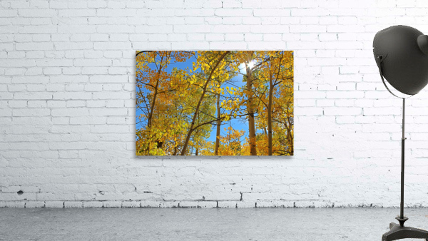 Aspens Take 2 Wall Preview