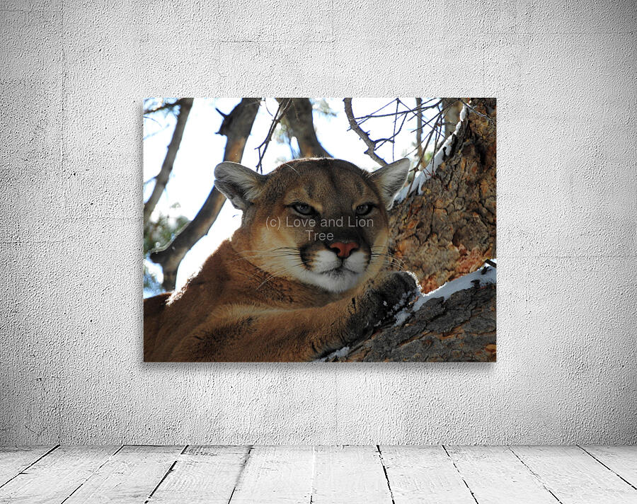 Here Kitty Wall Preview