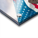 American Eagle Acrylic print