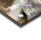Silver Suave Acrylic print