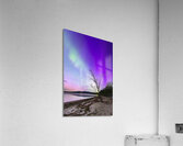 Pastel Horizons Acrylic Print
