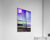 Skylights Tango Acrylic Print