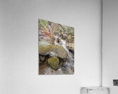 Relentless Acrylic Print