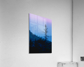 Standing Out Acrylic Print