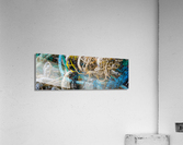 Discardings Acrylic Print
