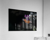 Signals Acrylic Print