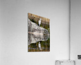 Silver Suave Acrylic Print