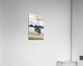 Forlorn Acrylic Print