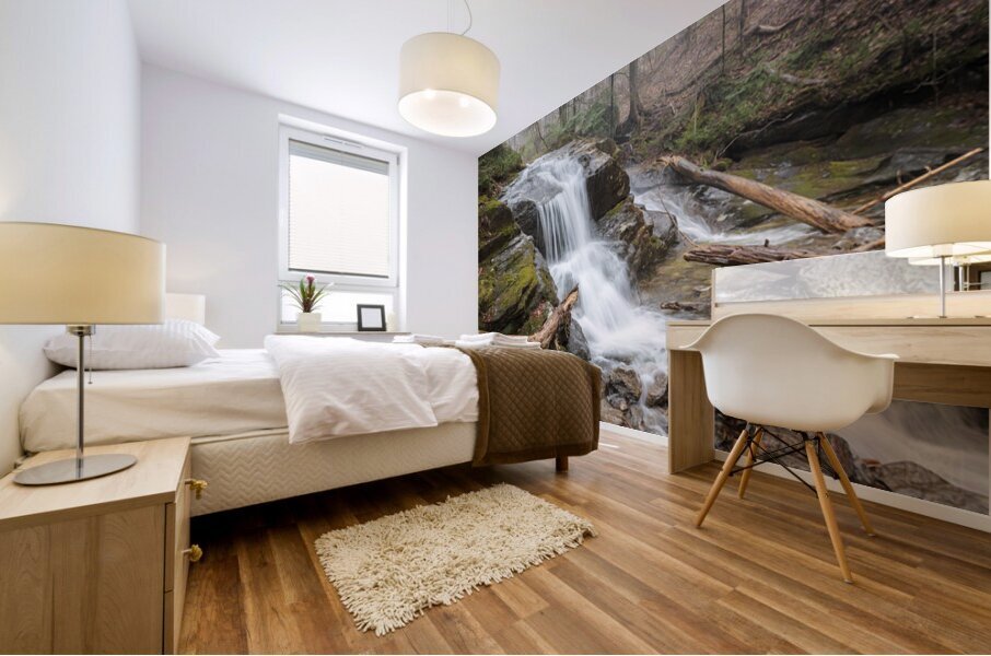 Passage Mural print