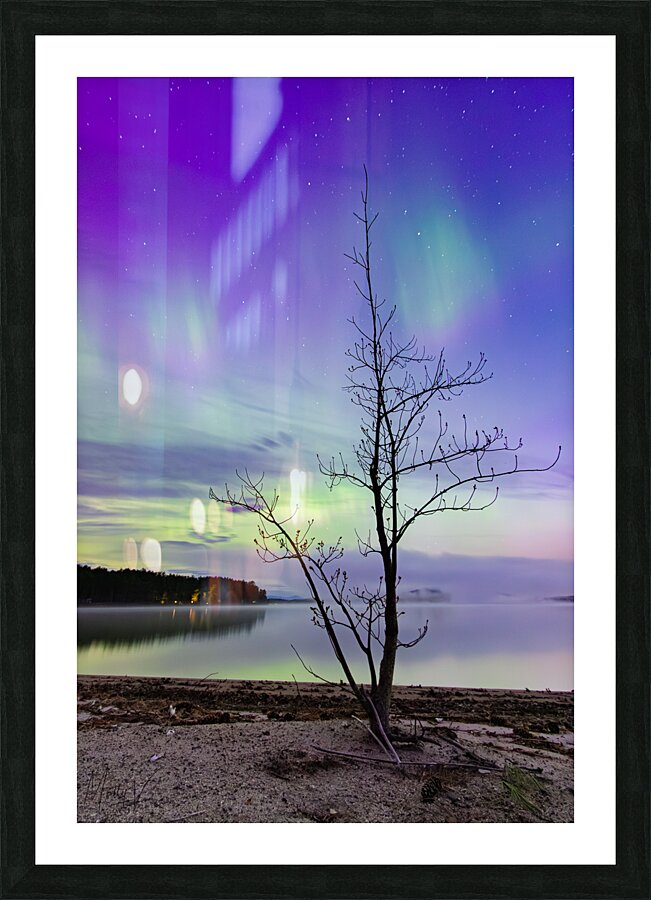 Skylights Tango Picture Frame print