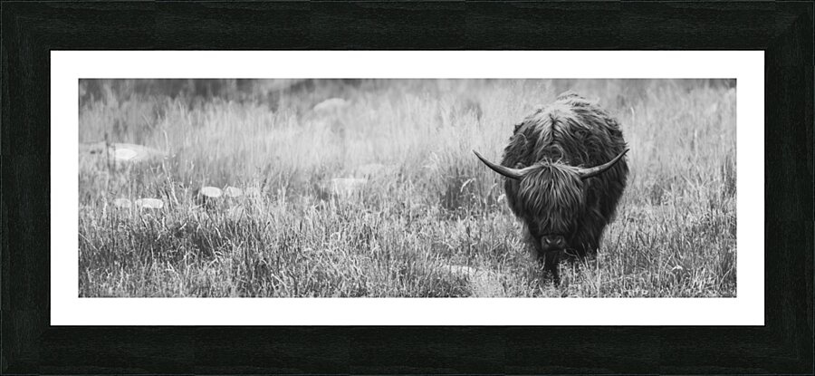 Steadfast Picture Frame print