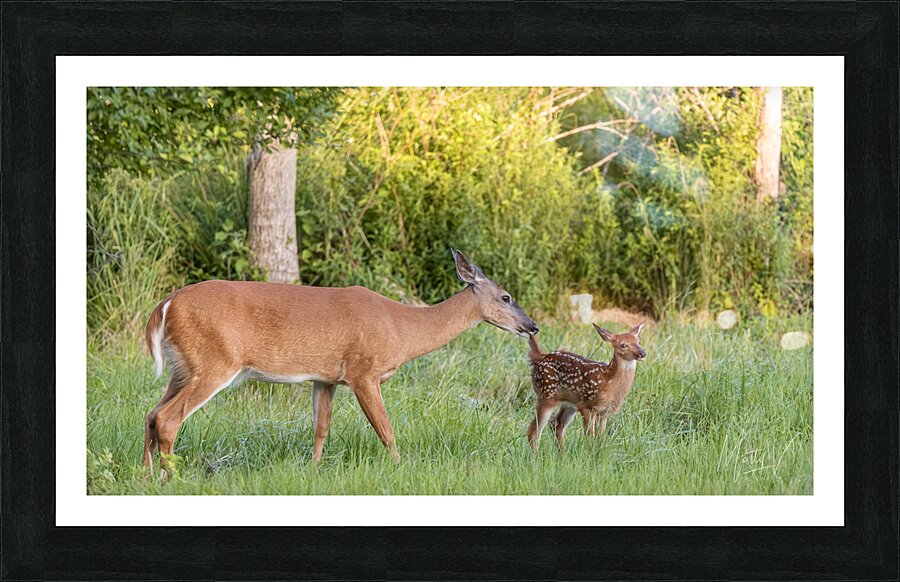 Wait a Second Bambi Picture Frame print