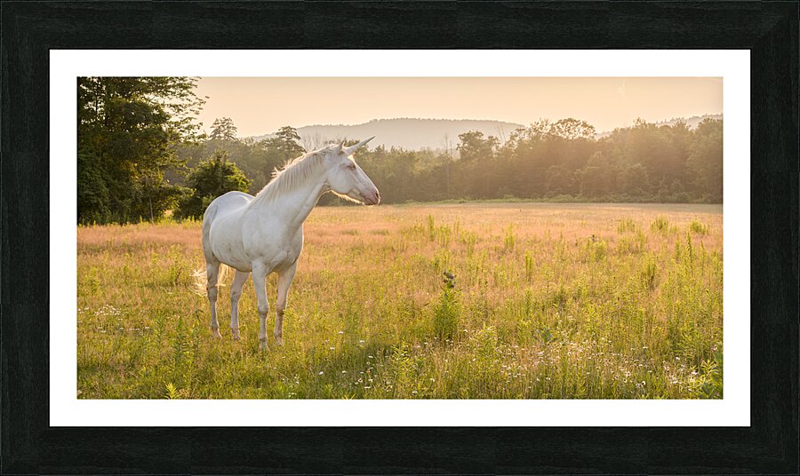Ataraxia Picture Frame print