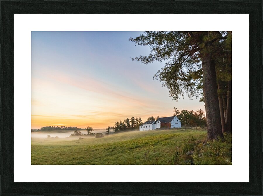 Homeland Picture Frame print