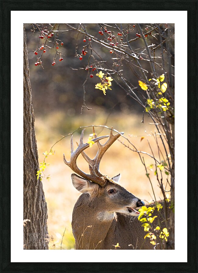 Trail Mix Picture Frame print