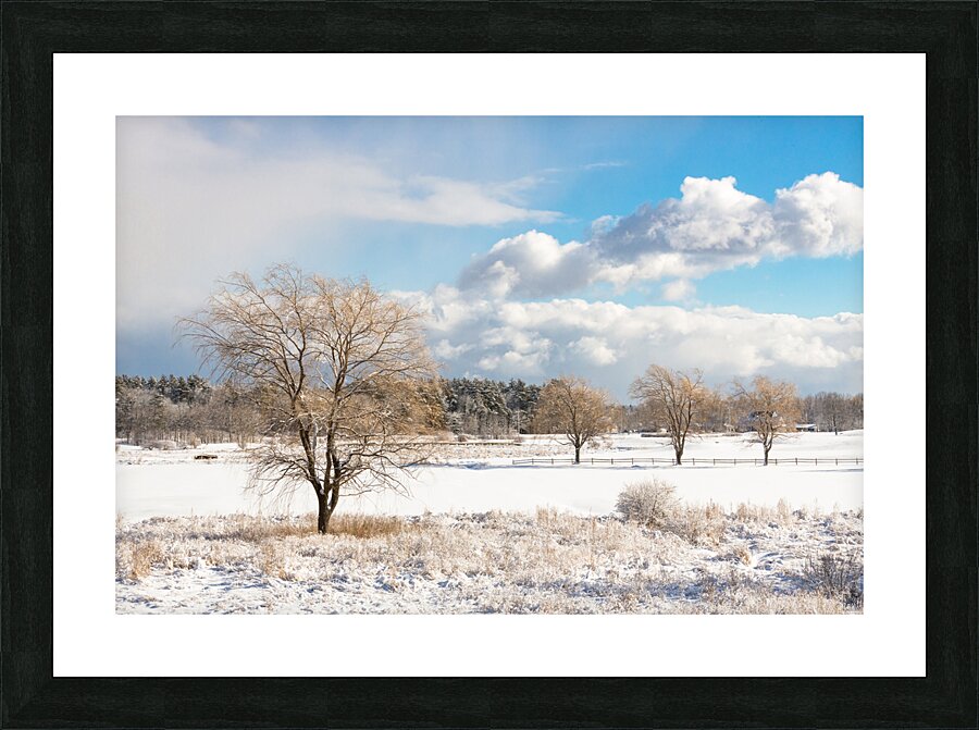 Dusted Days Picture Frame print